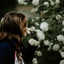 대방중학교 이미지