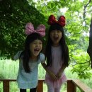 약수고을 이미지