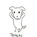 가야오토카 이미지