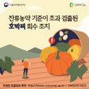 (주)한솔에프디 이미지