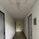 폴댄스 스튜디오, 강남역에서 가까운 프리폴 후기 [ 오하운스튜디오 교대 ]