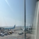 동복전통시장 | [대학생블로그/히찐] 제주도 여행 후기/오셜록 티 뮤지엄/산방산 유채꽃/올레시장/함덕해수욕장/런던...
