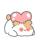 산호애견 이미지