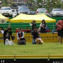 헬리우스 이미지