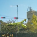 나도 스마트폰 사진작가 | [울산 중구 평생학습관] "AI와 스마트폰만 있으면 나도 사진작가" 과정 개강 현장