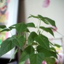 아이랑소아청소년과의원 이미지