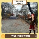 딱따구리 | 안양산마을캠핑장 서울 근교 딱따구리 B 숙박 후기