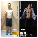 타이거짐 이미지