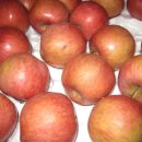 서대산농장 이미지