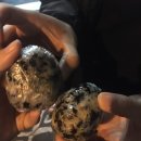 정동1길 이미지