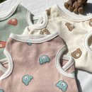 댕블리스 이미지