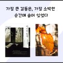 오 헨리 단편선 반전 스토리 고전 독서 나눔 후기
