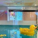 조이풀(Joy Pool) | 울산 키즈 풀빌라 추천(조이풀 울산)