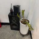 신정문약국 이미지