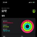 8 네이버블로그