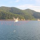 와라카이 게스트하우스 이미지