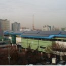 평화 태양광발전소 이미지