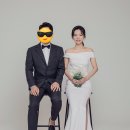 비비펠리스