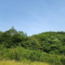 대곡면-7 이미지