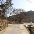 군화동경로당 Daum카페