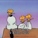 카페도클랜드