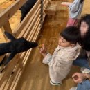 부천목장 이미지