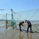 만돌어촌체험휴양마을 이미지