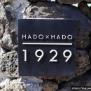 하도하도1929 이미지