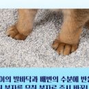 크린에버 이미지