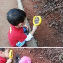 오륜대로 이미지