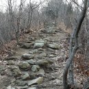 미륵산성 Daum카페