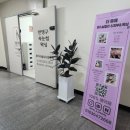 더뮤에
