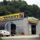 매미농장 이미지