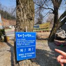 GM대우정비 | 어머니랑 마티즈 타고 강마을다람쥐 도토리묵 먹은 후기