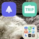 트라비건 이미지