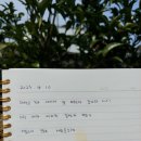 1924서까래 이미지