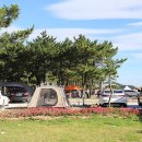 낙산해변야영장 이미지