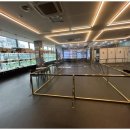 도그스타일 이미지