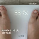단기간 다이어트 빌딘 레몬버베나 효과 내 기준 보조제 원탑 (먹은 거 후기 개많음)