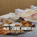 속초 횟집 추천 속초 대포항 회센터 찐맛집 세룡이네 후기