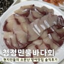 청정바다 | 충주 대방어로 유명한 "충주청정민물바다회" 솔직후기