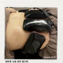 플레이 돔 이미지