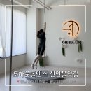 폴댄스 의외로 어렵지않다?! 폴댄스 체험 솔직후기 [오하운폴댄스학원 천안불당점]