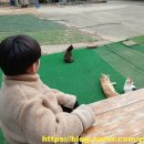 라파승마장