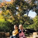 나무고아원 이미지