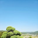 세종한옥펜션 보섬가, 충청권 감성숙소 독채 한옥 가족여행 추천