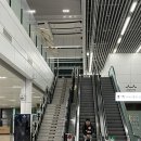 세븐일레븐 청주사창행운점 | ✈️ 오키나와 - 1