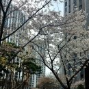 일등자이공인중개사사무소 | (서청주파크자이) 청주 서청주파크자이 아파트, 59타입 (24평형)매물소개