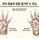 13. 논시각급야자시여자시정불동(論時刻及夜子時與子時正不同) 이미지