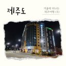 제주도 서귀포 2청사 가성비 숙소 추천 그랜드 밀리언스 호텔 숙박 후기! 평일 가격 너무 좋네요.